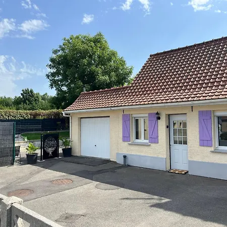 Pets By Oxyne *